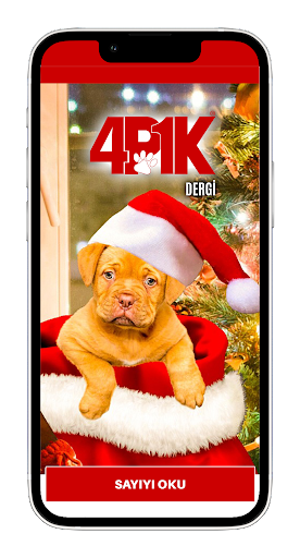 Android application 4P1K Dergi screenshort