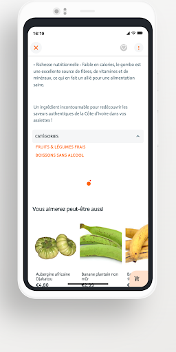 Flem screenshot 3