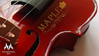 screenshot of Maple Violin