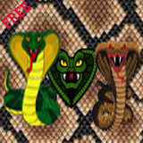 Jelly Cobra Blast icon