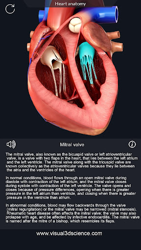 Heart Anatomy Pro. Screen 3
