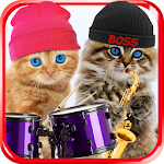 Cover Image of Baixar Funny Talking Cats 1.0.4 APK