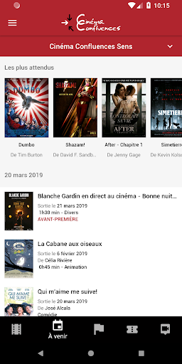 Cinéma Confluences Screen 3