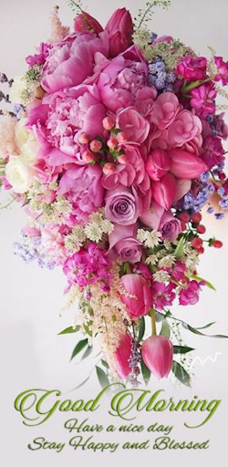 Android application beautiful good morning images screenshort