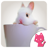 Beautiful Rabbit Background icon