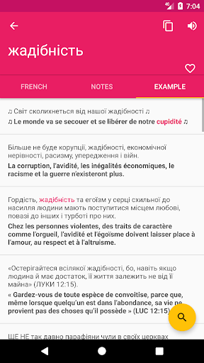 French Ukrainian Dictionary Screen 3