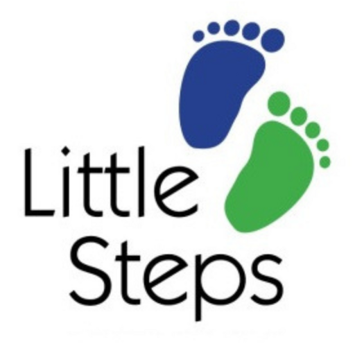 Little Steps Demo logo