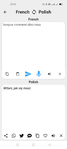 French To Polish Translator Screen 2