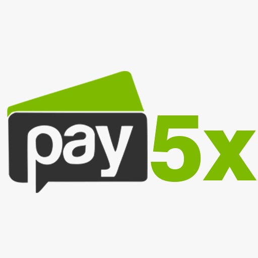 Pay5x logo