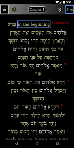 FlashE Hebrew: Genesis Screenshot