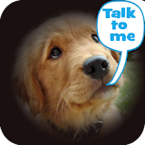 Dog Lingo - talk to your dog icon