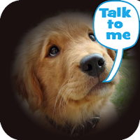 Dog Lingo - talk to your dog