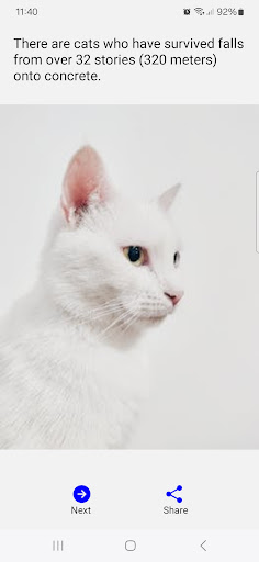 Cat Facts Screen 2