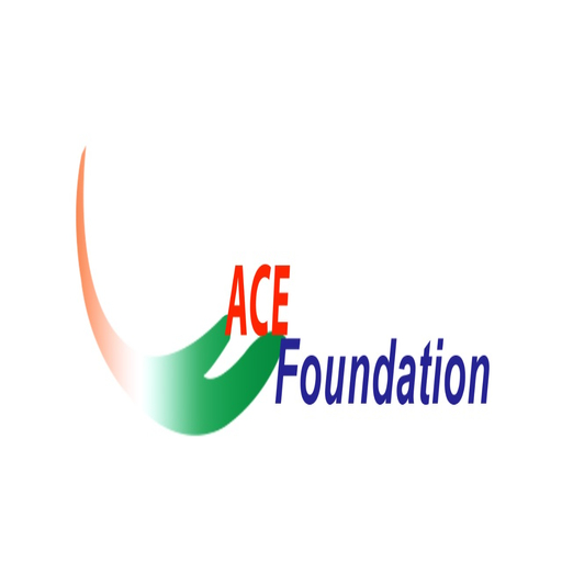 ACE Foundation- Assessment logo