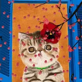 [Full HD] Kitty in the Window icon