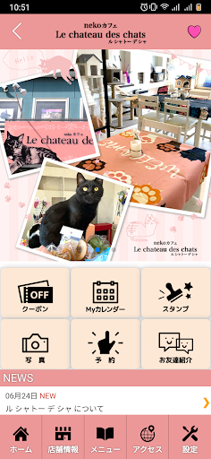 Le chateau des chats Screen 2