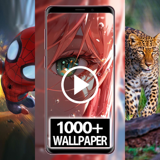 1000+ Video Wallpaper RZDO logo