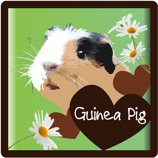Guinea Pigs - all about 1.5 Icon