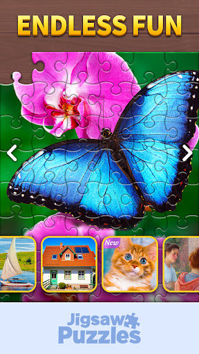 Amor Jigsaw - Seniors Game 5