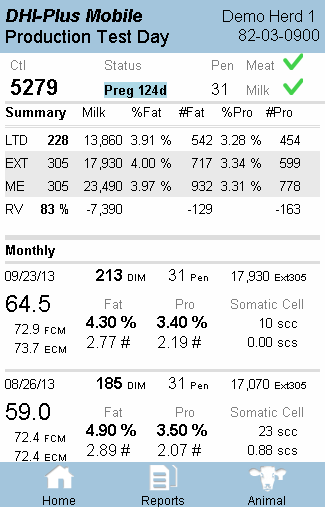 DHI-Plus Screen 3