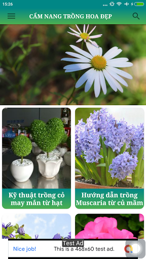 Kỹ Thuật Trồng Hoa Đẹp Sắc Màu Screen 2