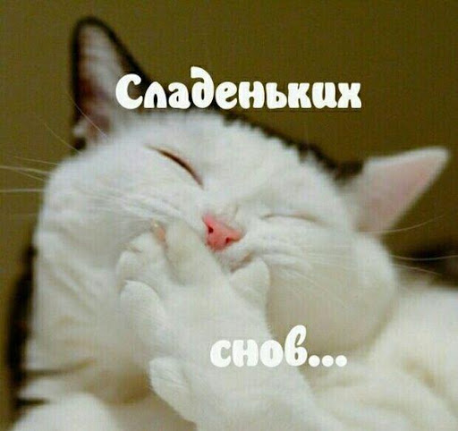 Доброй Ночи Сладких Снов Screen 3