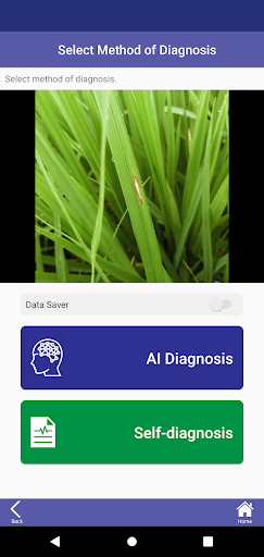 AcroSeeker™ Screen 3