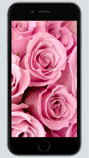 Pink Aesthetic Wallpaper