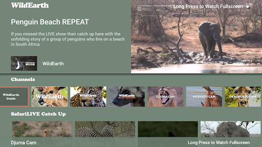Android application WildEarth for Android TV screenshort
