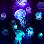 Cover Image of ダウンロード Colorful Jellyfish - Wallpaper  APK
