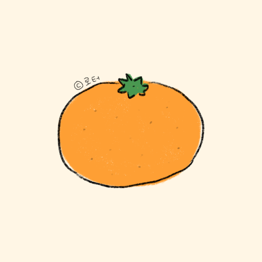 카카오톡 테마 - 대충 귤이 왔다귤 테마