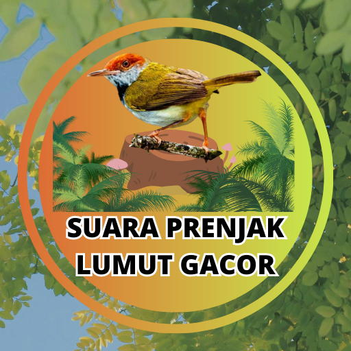 Suara Prenjak Lumut Gacor Mp3 logo