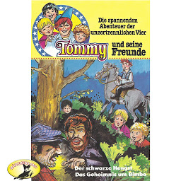 Obraz ikony: Tommy und seine Freunde, Folge 2: Der schwarze Hengst / Das Geheimnis um Bimbo