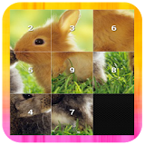 Slide Puzzle - Animal icon