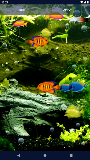 Download Aquarium Fish Live Wallpaper Free for Android - Aquarium Fish Live  Wallpaper APK Download 