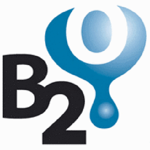 myB2O Report logo