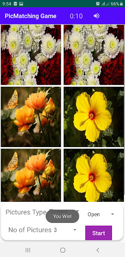 Picture Matching Screen 2