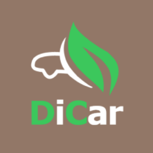 DiCar-Hệ Sinh Thái Dịch Vụ ÔTô logo