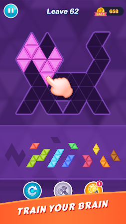 Game screenshot Triangle Puzzle Guru apk download