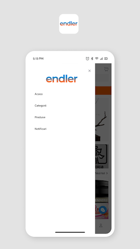 endler Screen 2