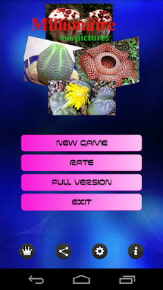 Millionaire pictures - Screenshot 1