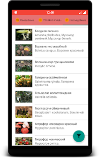 Богатства леса справочник FREE Screenshot
