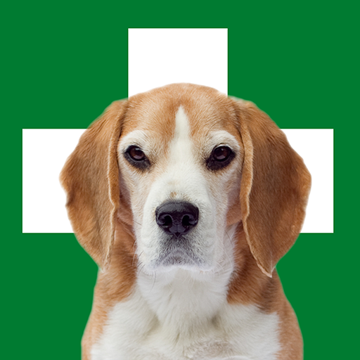 Erste Hilfe Hund logo
