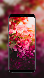 Flower Wallpapers in HD, 4K 4.1.39 screenshots 11
