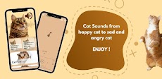 Cat Sounds Meow App Offlineのおすすめ画像1