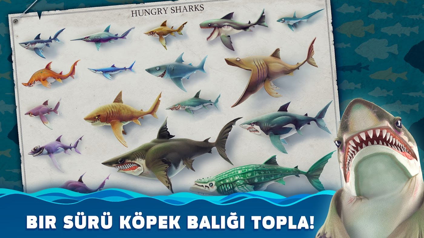 Hungry Shark World Apk İndir – Sınırsız Para Sürümü