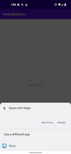 HelloBIIDemo Screen 2