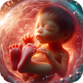 Download Suivi de grossesse 2024 1.24 Apk for android