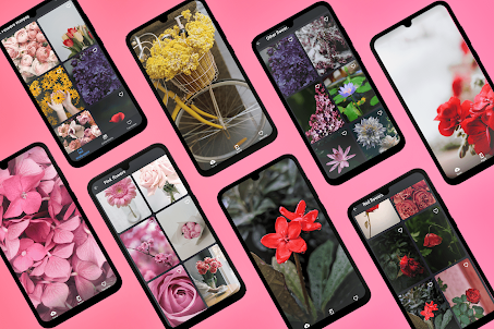 Flower Wallpapers HD 4K