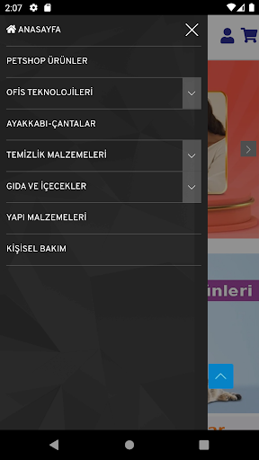 Satinal Shop Screen 3